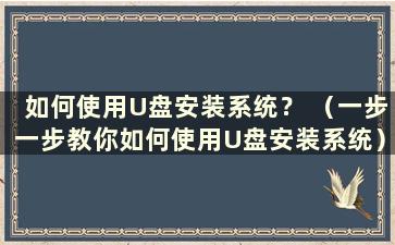 如何使用U盘安装系统？ （一步一步教你如何使用U盘安装系统）